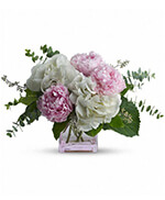 Teleflora's Pretty in Peony Teleflora's Pretty in Peony